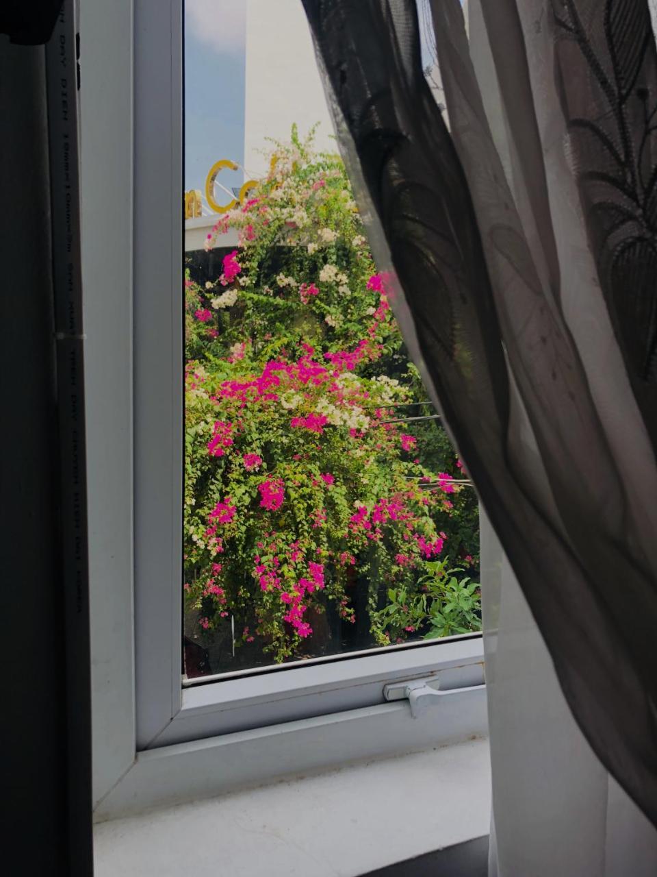 Tuong Van Homestay Đà Nẵng Extérieur photo